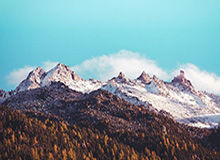 kaiyun-翔细聊｜麦基能给北汽男篮带来些什么？